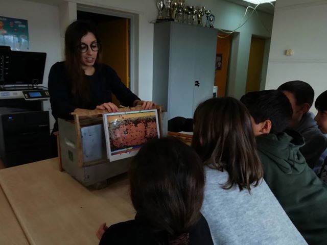 Ateliers pédagogiques avec les jeunes agriculteurs de Corse du Sud