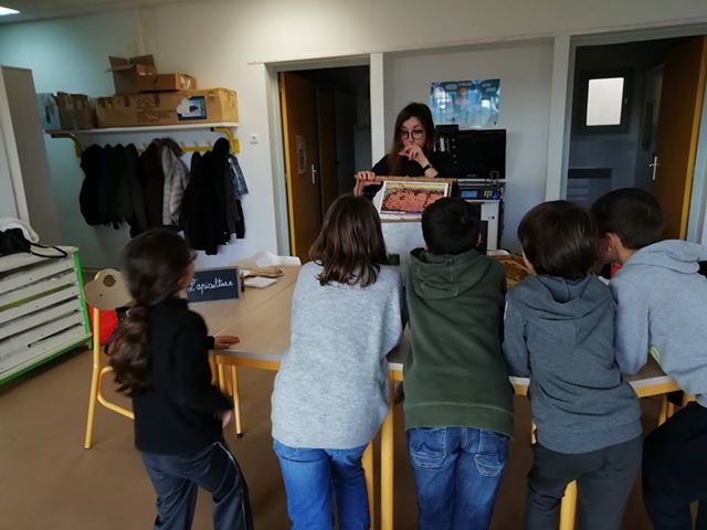 Ateliers pédagogiques avec les jeunes agriculteurs de Corse du Sud