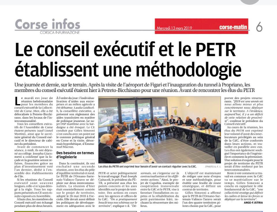 Contrat de territoire,Ingenierie; réunion des élus du PETR avec le Conseil Exécutif