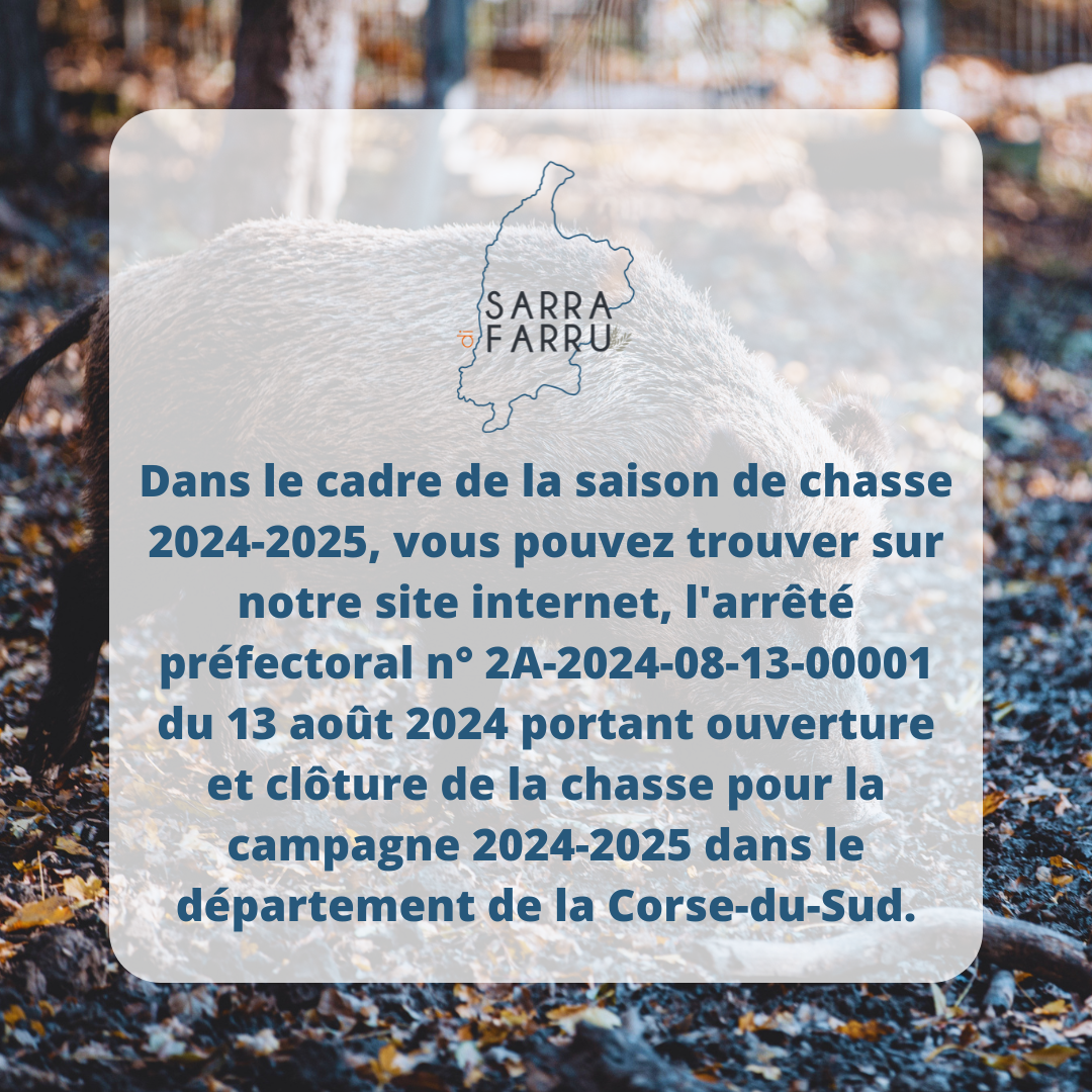 Dates d'ouverture et fermeture de la chasse en Corse-du-Sud saison 2024-2025